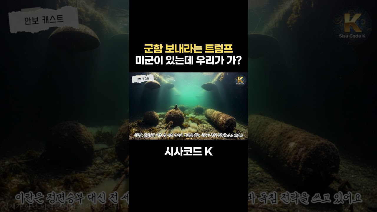 군함 보내라는 트럼프, 미군이 있는데 왜 우리가 가?