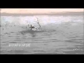 AFV Part 195 BRAND NEW America S Funniest Home Videos Funny Clips Fail Montage Compilation