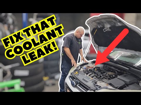 Wasserpumpenaustausch Ford 2.0 (einfach und leicht)