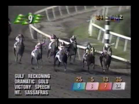 1996 Meadowlands Cup - Dramatic Gold