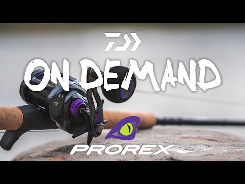 Daiwa PRX400XH-P Prorex TW Baitcasting Reel - TackleDirect