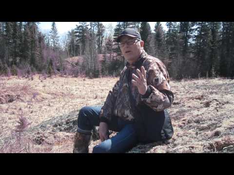 Stan Michalak at Falcon Lake 2017