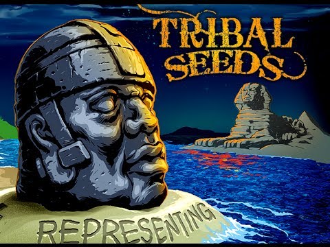 TRIBAL SEEDS - Blood Clot (feat. Don Carlos) *NEW 2014* HQ