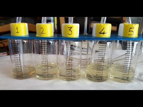 Volvo XC90 2004 Common Rail Diesel Injector Return Flow Test