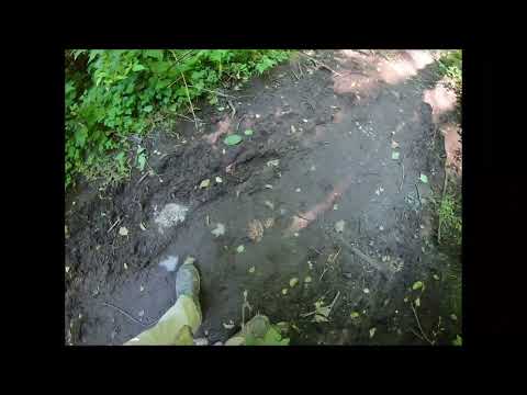 Pratt River Trail to Big Tree, Snoqualmie Mount Baker National Forest, WA