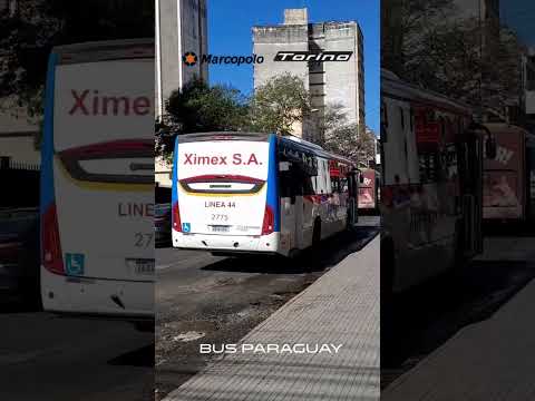 Marcopolo Torino 2014 - Volkswagen 17.230 EOD | #shorts