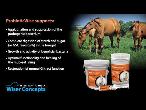 Wiser Concepts for Horses Video