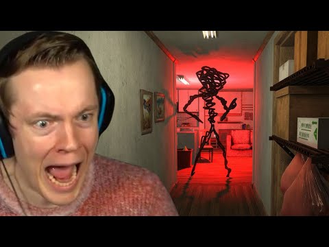 This Observation Duty Game has a STORY MODE?? - Spectator Story Mode