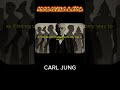 Nothing And Nobody Will Ever Hurt You Again Carl Jung Psychology