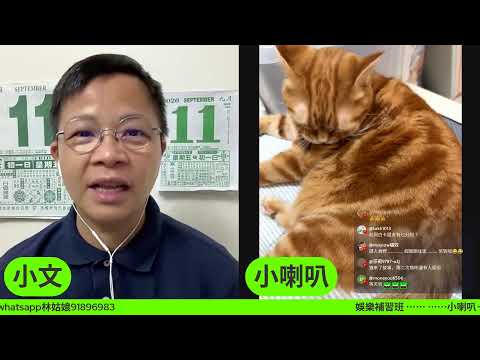 鬼王雷宇揚驚傳離世 張衛健為病逝歌迷扶靈 鍾麗淇突傳入院發聲明澄清  何雁詩夫婦疑棄子捱轟  梅啟明揚言申請阿梅遺產搞葬禮