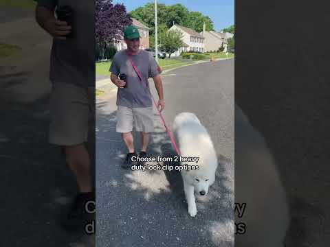 ¡Dueños de perros grandes, esto es para ustedes! Estos candados resistentes son ideales si buscan...