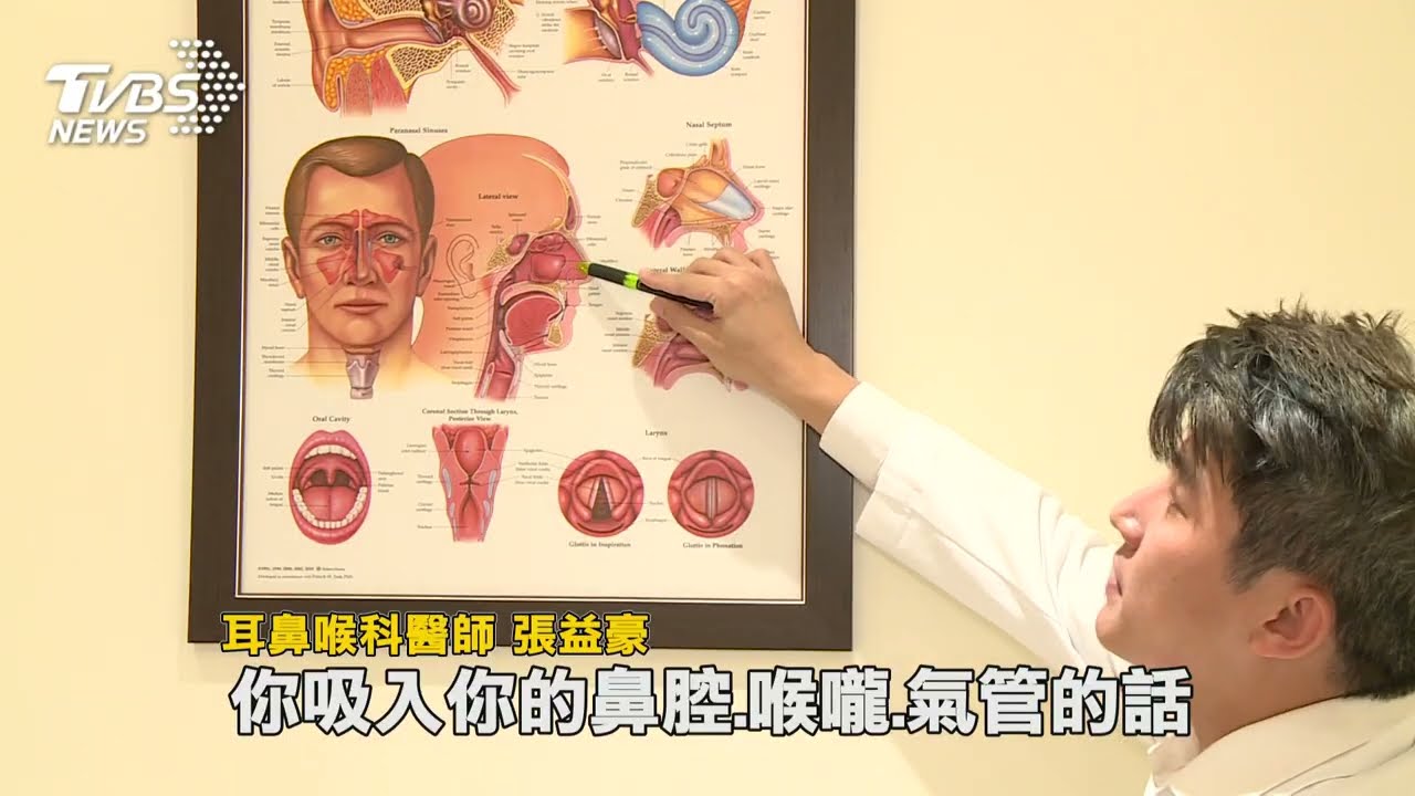 換季潮濕易滋生黴菌 當心引發過敏.氣喘