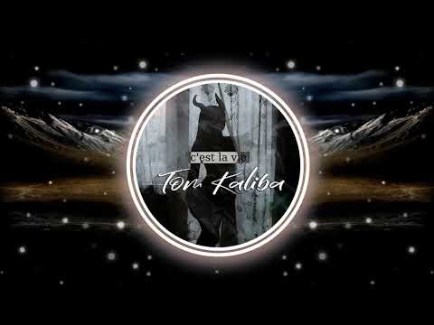 Tom Kaliba - C'est la vie (prod. by MalaFvma)