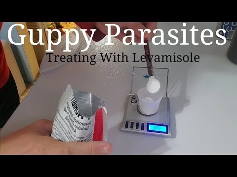 YouTube video about: Where to buy levamisole for fish?