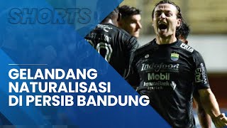 Gelandang Naturalisasi Timnas Indonesia Selalu Sukses di Persib Bandung, Hanya 1 yang Tampil Redup