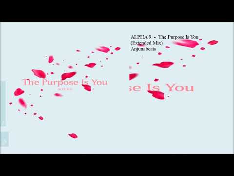 ALPHA 9  - The Purpose Is You (Extended Mix)