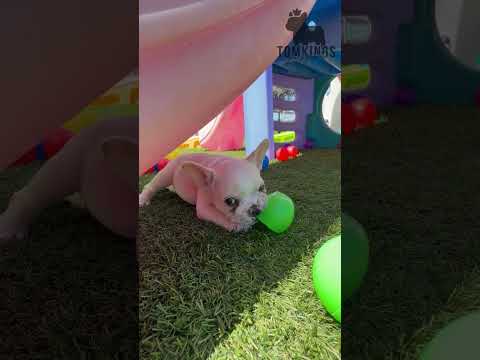 Video 2