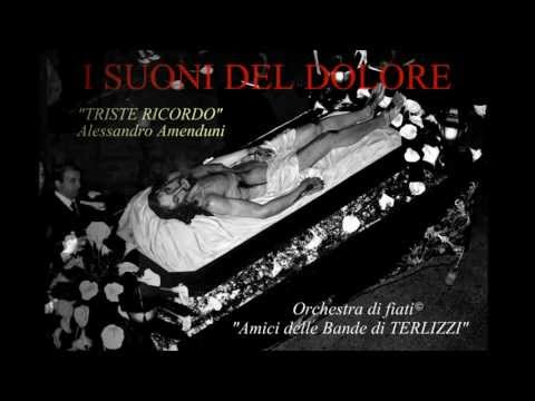 I SUONI DEL DOLORE - TRISTE RICORDO (Alessandro Amenduni)