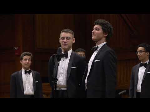 A Tribute to the Beach Boys - The Harvard Krokodiloes