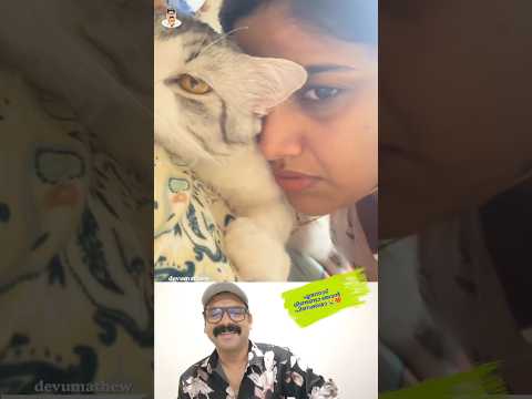 ഞാൻ മിണ്ടൂല പിണക്കമാണ് 🥰 #shorts #cat #viral #reaction