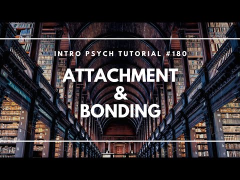 Developmental Psychology Erikson s 8 Ages of Man Intro Psych Tutorial 171