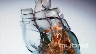 Carly Rae Jepsen - Your Heart Is A Muscle