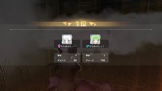 デュオ　立ち回り動画