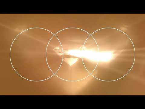 Trailer - Wiener Ball Monaco 2020