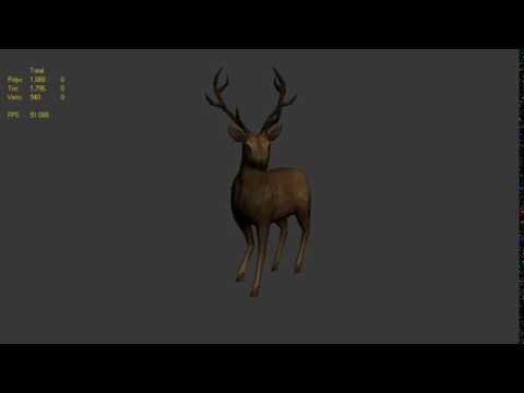 Male Sambar Deer 3D Animation preview | Intoscience