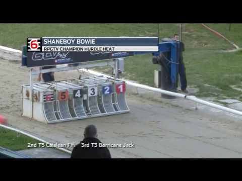 2019 RPGTV CHAMPION HURDLE - HEAT 3 - T6 SHANEBOY BOWIE