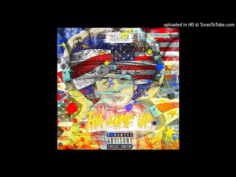 B.F.H. (birds flying high)