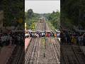Busy Railgate Crossing Shorts