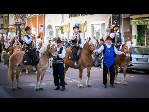 Ostermontag in Meran 2018 - Festumzug der Haflinger Pferde