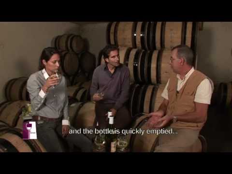 Understanding Meursault Burgundy with J.F. Coche Dury