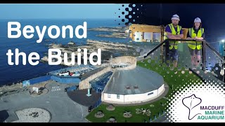 Some Fishy Activity! - Beyond the Build Vlogs