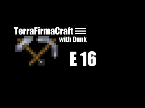 TerraFirmaCraft with Dunk - E 16