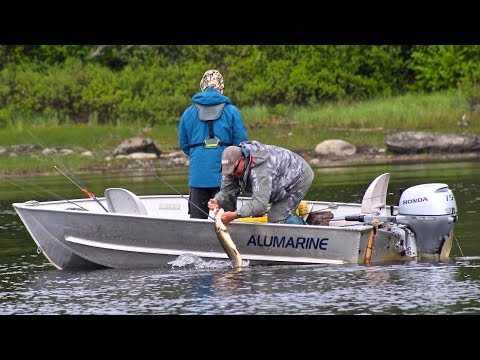 Journey To An Angling Paradise - Root Bay On Lake St Joseph