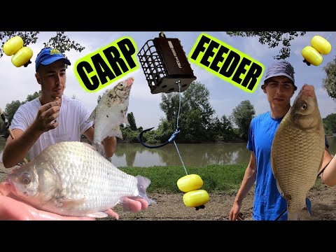 Pecanje na feeder : BELE , BABUŠKE i ŠARANA - čekamo na + 40° C ⚠😱🌞⚠ (DULE MENADZER)