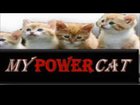 SWA TV - MYPOWERCAT