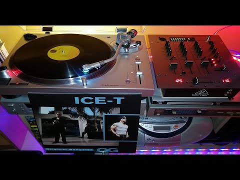 Ice-T - Fly By  ft. Nat the Cat & Donald D    1991