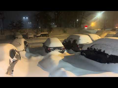 Nevasca - Marlborough 2026