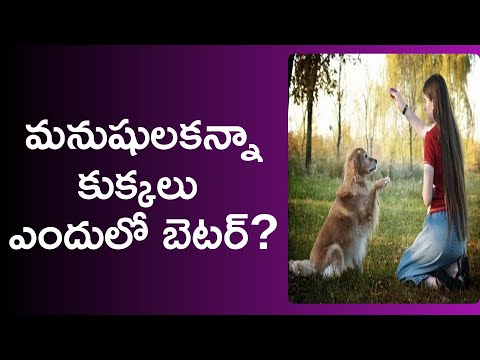 dog human relationship history in telugu