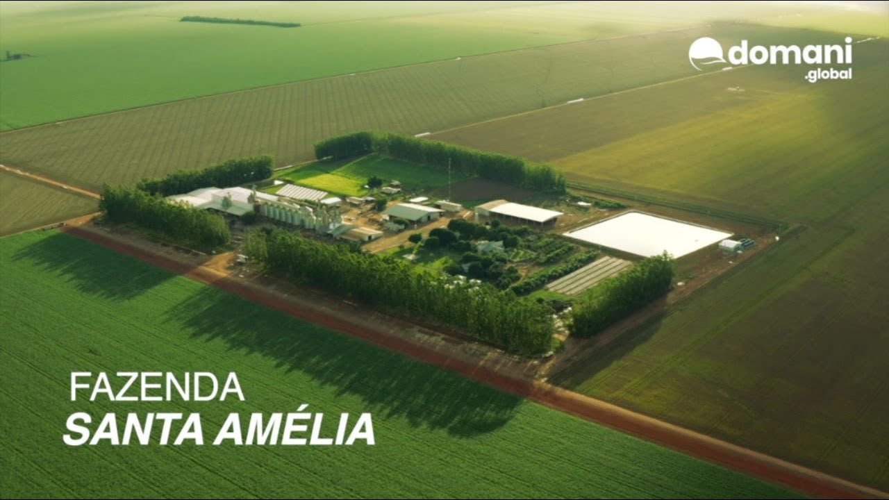 Domani Global & Fazenda Santa Amélia