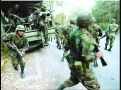 12 coras, masacre en la sierra nayarita