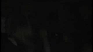 erol alkan @ stalker haarlem netherlands 2005