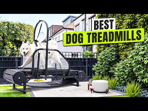 Small Dog Treadmill 2026 Edition - High-Value, Low-Noise Pet Exercise Machine for Indoor Puppy Training, Portable Running Wheel video review thumbnail