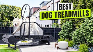 3 BEST Dog Treadmill