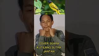 Download lagu Cover Suara Burung Kutilang Sutra Jantan Pake Jari @SumarmanKlik mp3