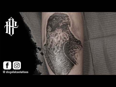 INTRODUCTION TO THE CHANNEL / Diogo Falcão Tattoos