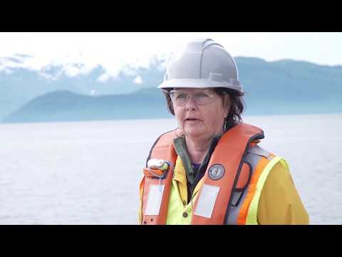 a very fishy pilot project